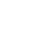 home icon security theft